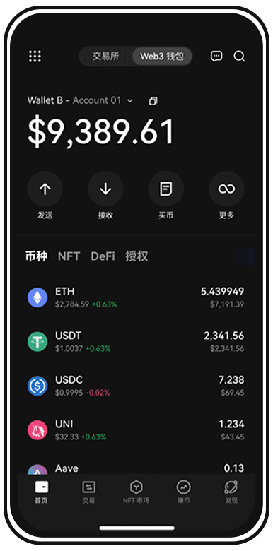 应用功能界面示意